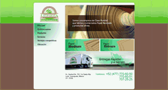 Desktop Screenshot of ceypabasa.com.mx
